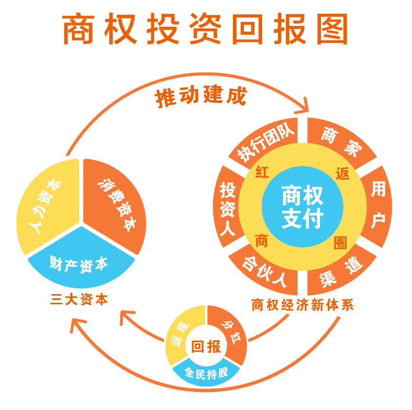 投资回报图.png